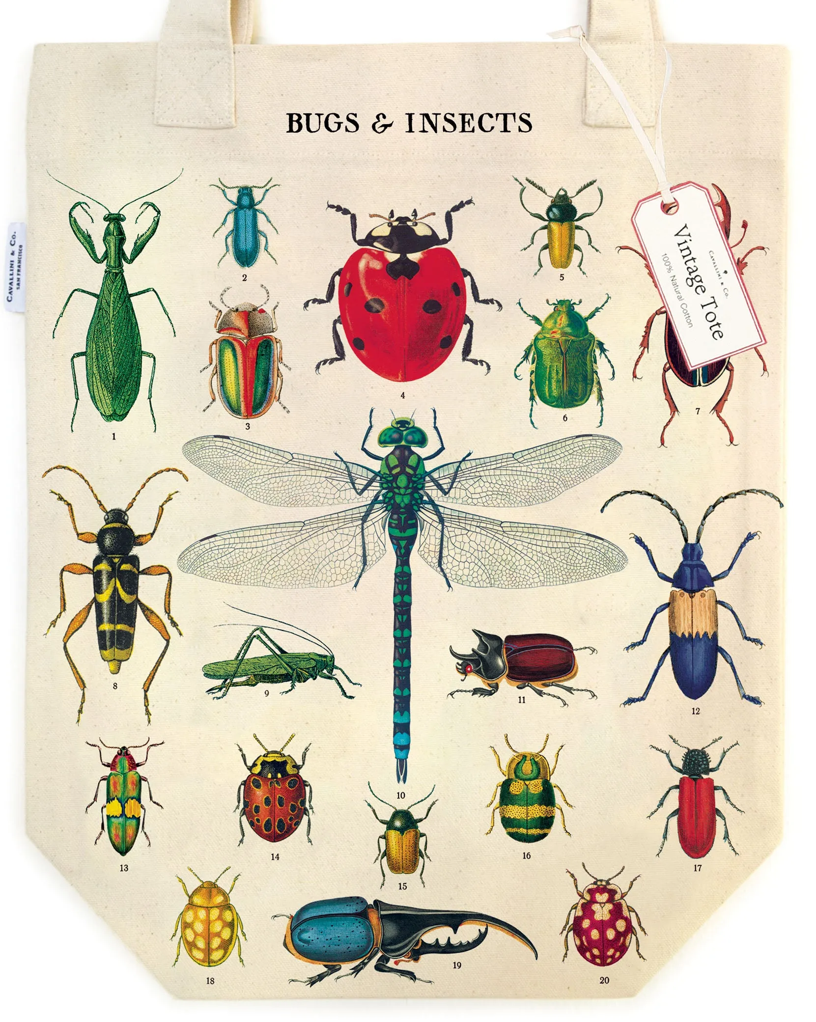 Cavallini & Co. Bugs & Insects Cotton Tote Bag