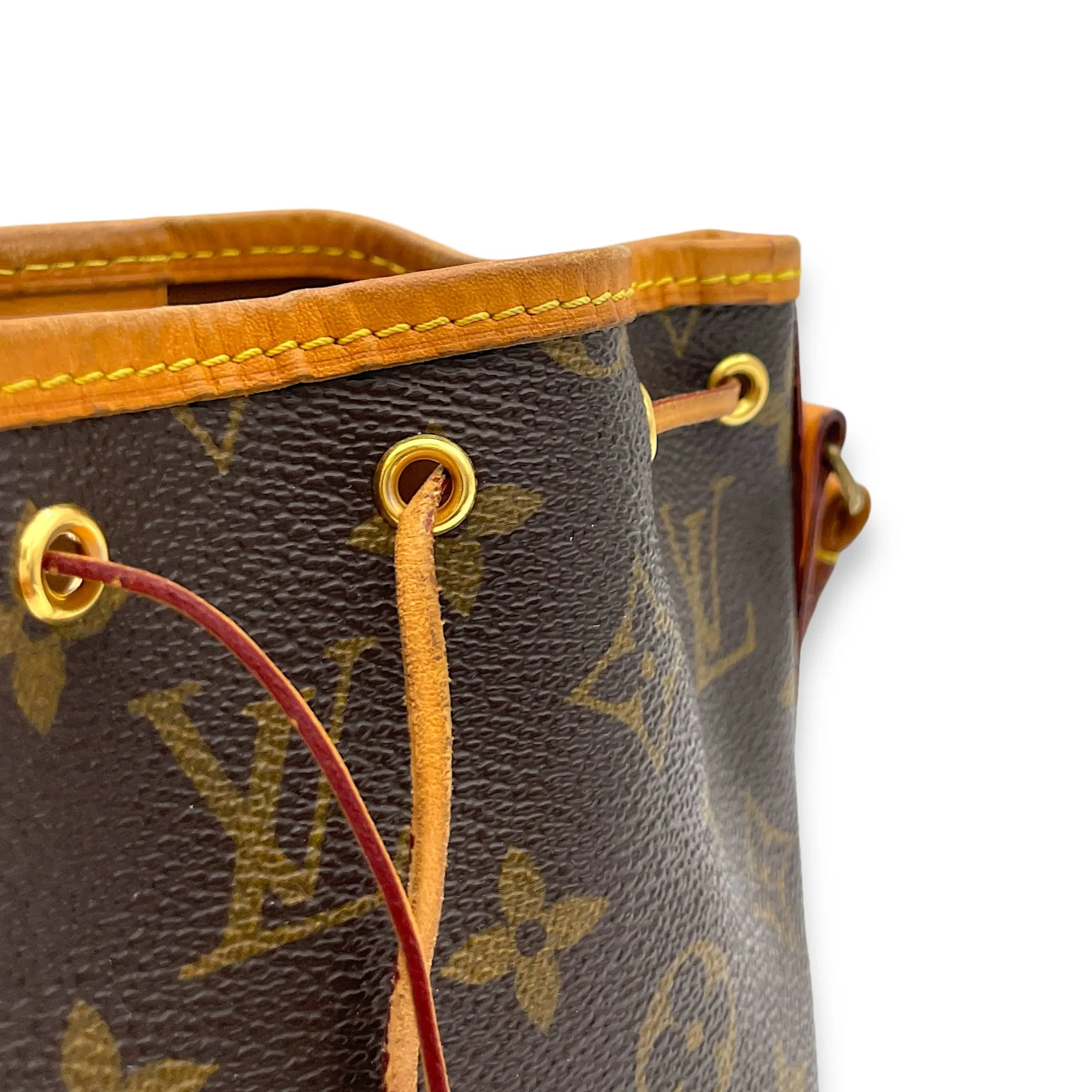 Noe Nano Brown Bucket Bag in Monogram Coated Canvas, Gold hardware