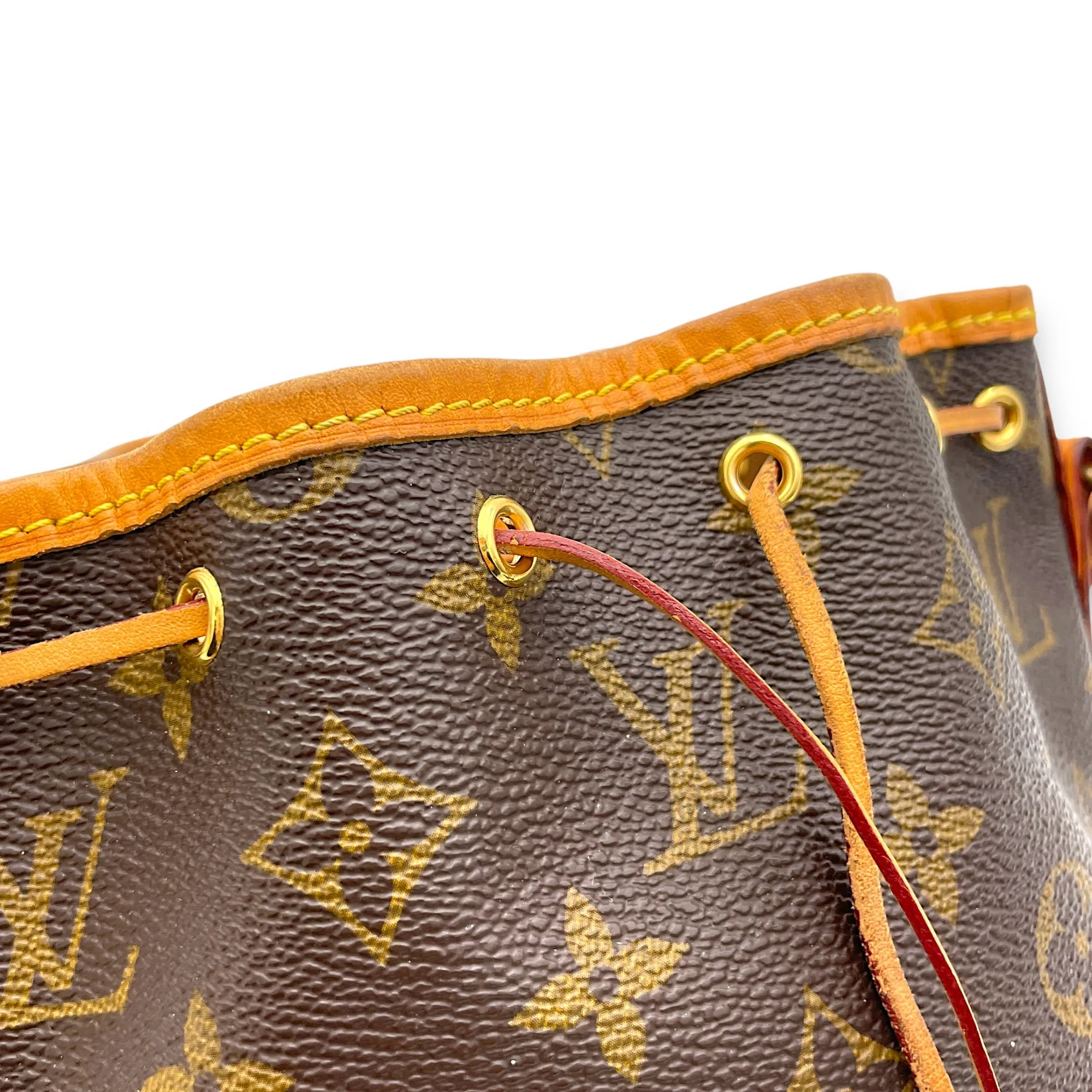 Noe Nano Brown Bucket Bag in Monogram Coated Canvas, Gold hardware