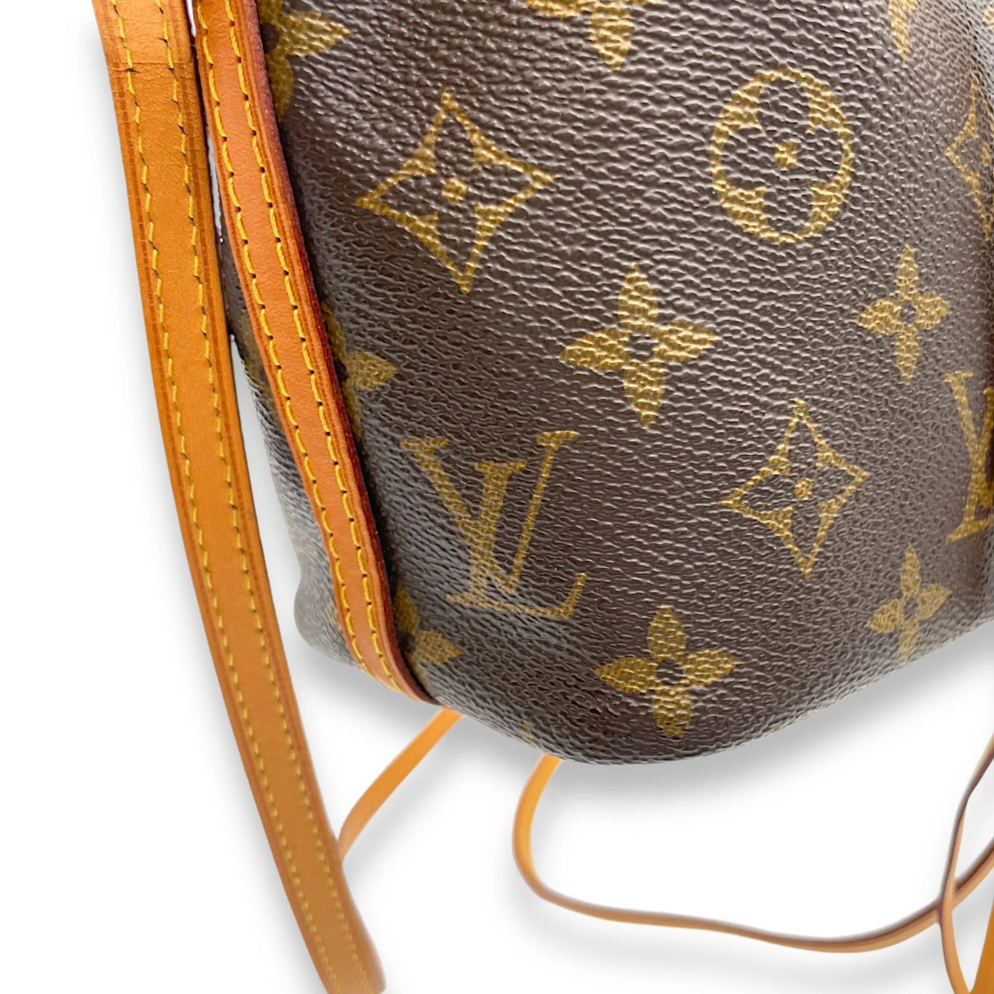 Noe Nano Brown Bucket Bag in Monogram Coated Canvas, Gold hardware